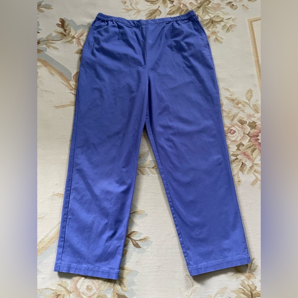 The Tog Shop size 18 petite purple pants - Picture 1 of 6